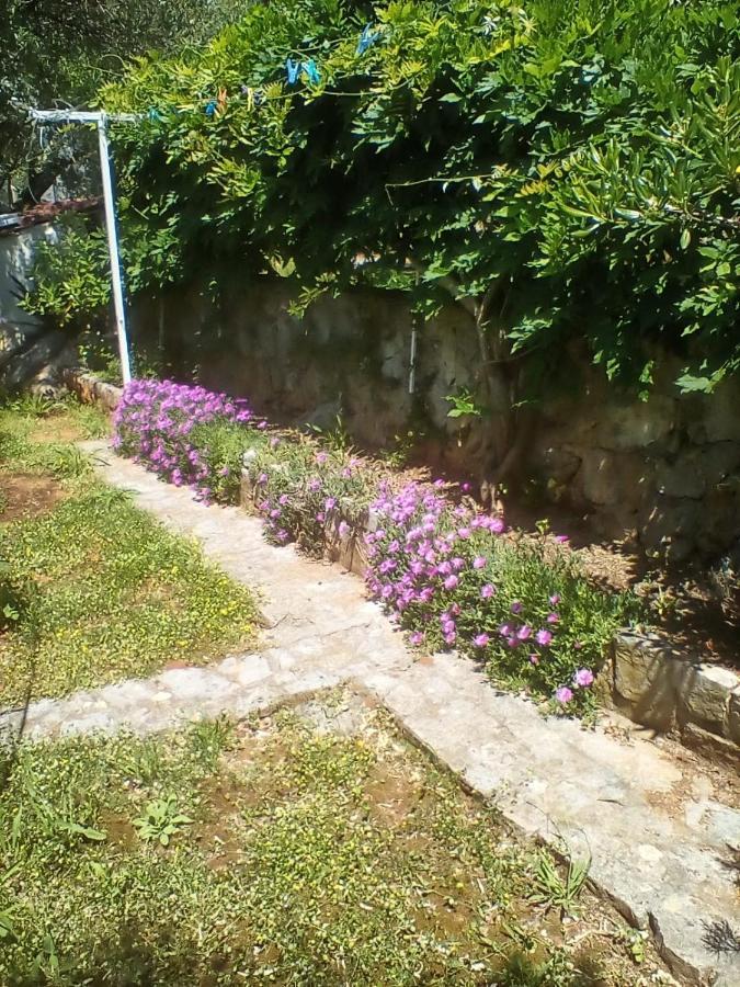 Apartman-Maja-Krk คิร์ก ภายนอก รูปภาพ