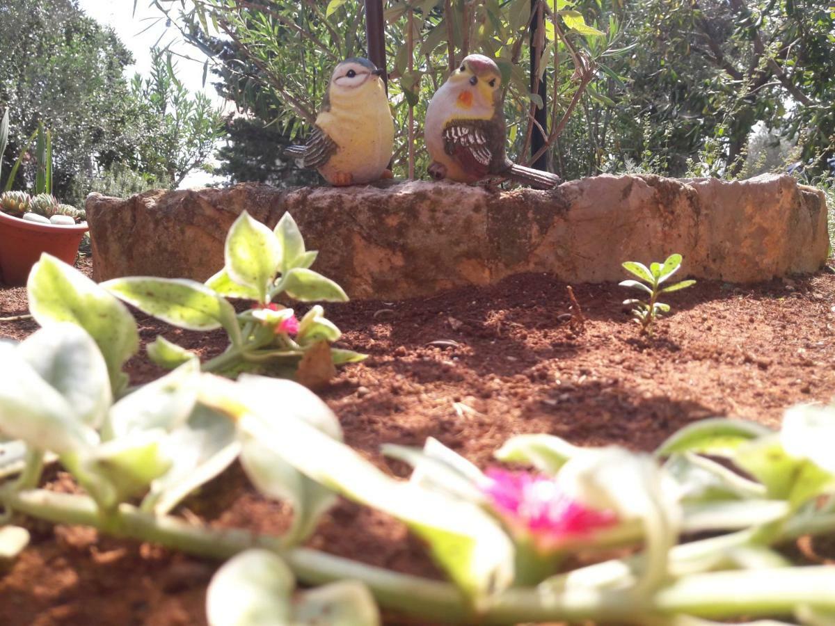Apartman-Maja-Krk คิร์ก ภายนอก รูปภาพ